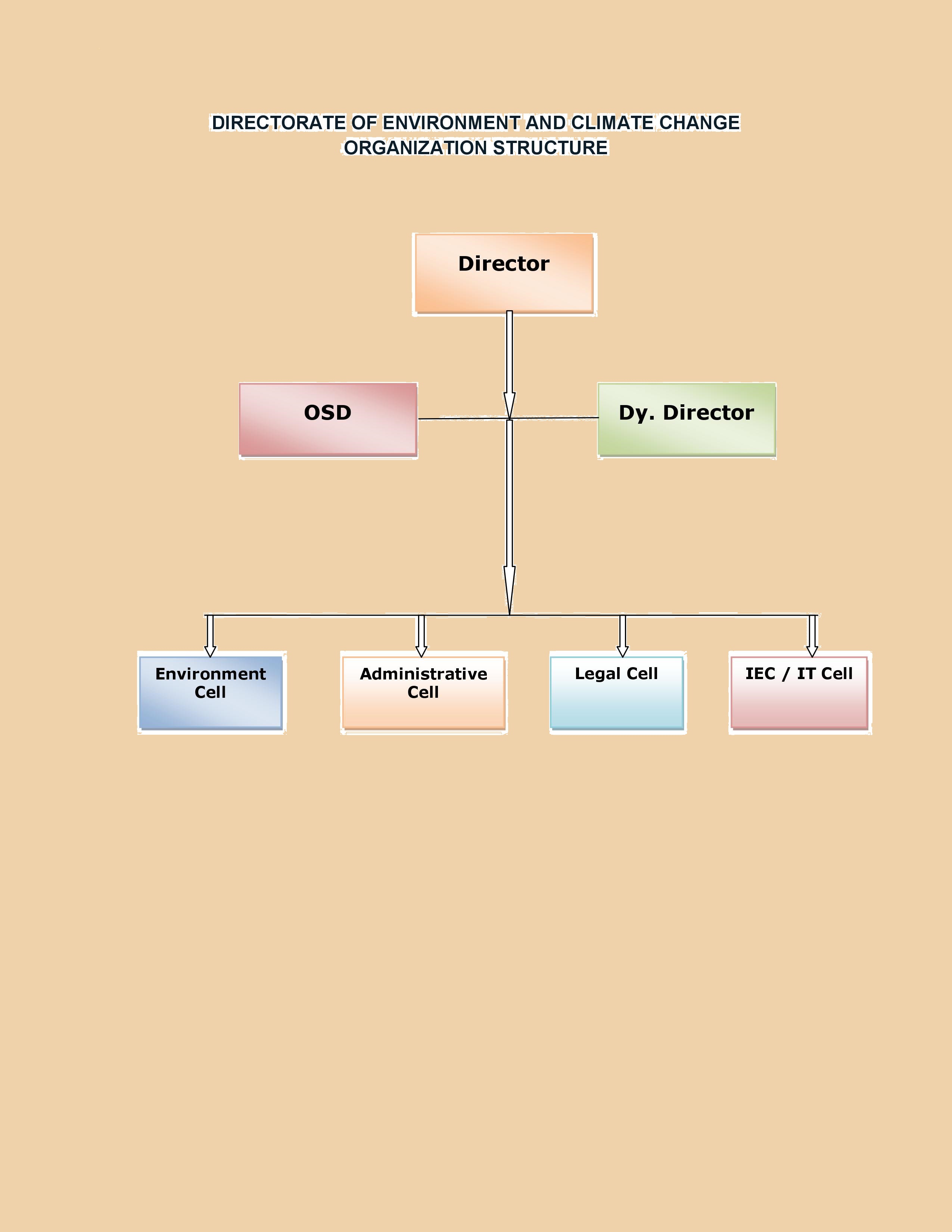 ORGANIZATION STRUCTURE